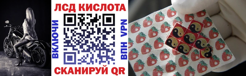 где купить   Горбатов  Наркотические марки 1,5мг 