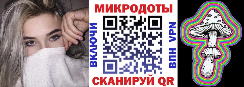 Псилоцибиновые грибы Psilocybe  Горбатов 